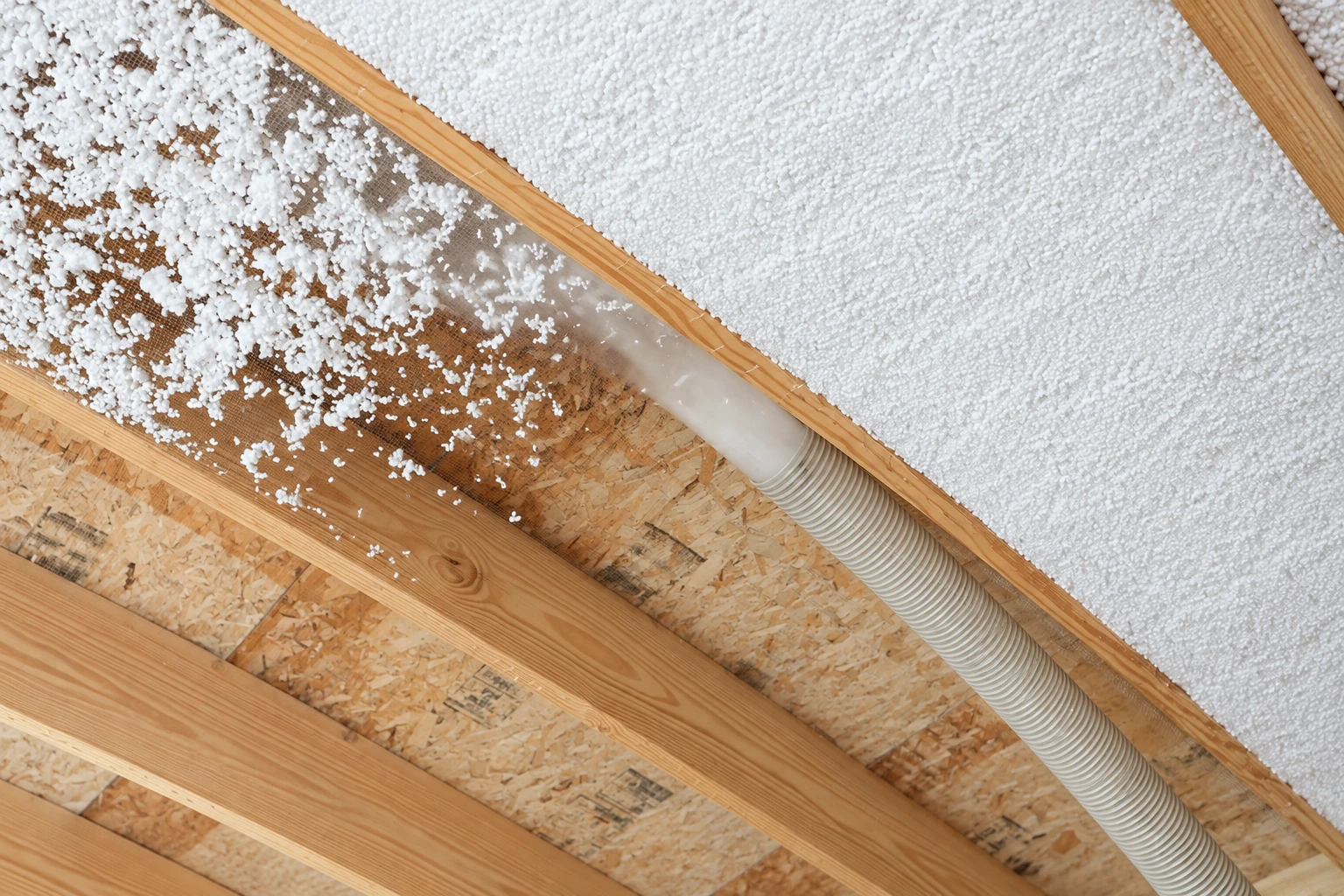 White loose-fill insulation is blown between wooden roof joists through a flexible hose.